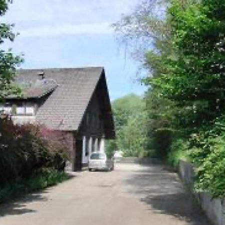 Ferienwohnungen Seeblick Unterkirnach Dış mekan fotoğraf
