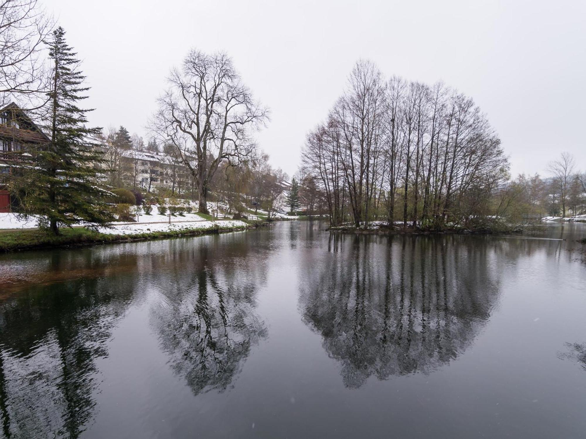 Ferienwohnungen Seeblick Unterkirnach Dış mekan fotoğraf