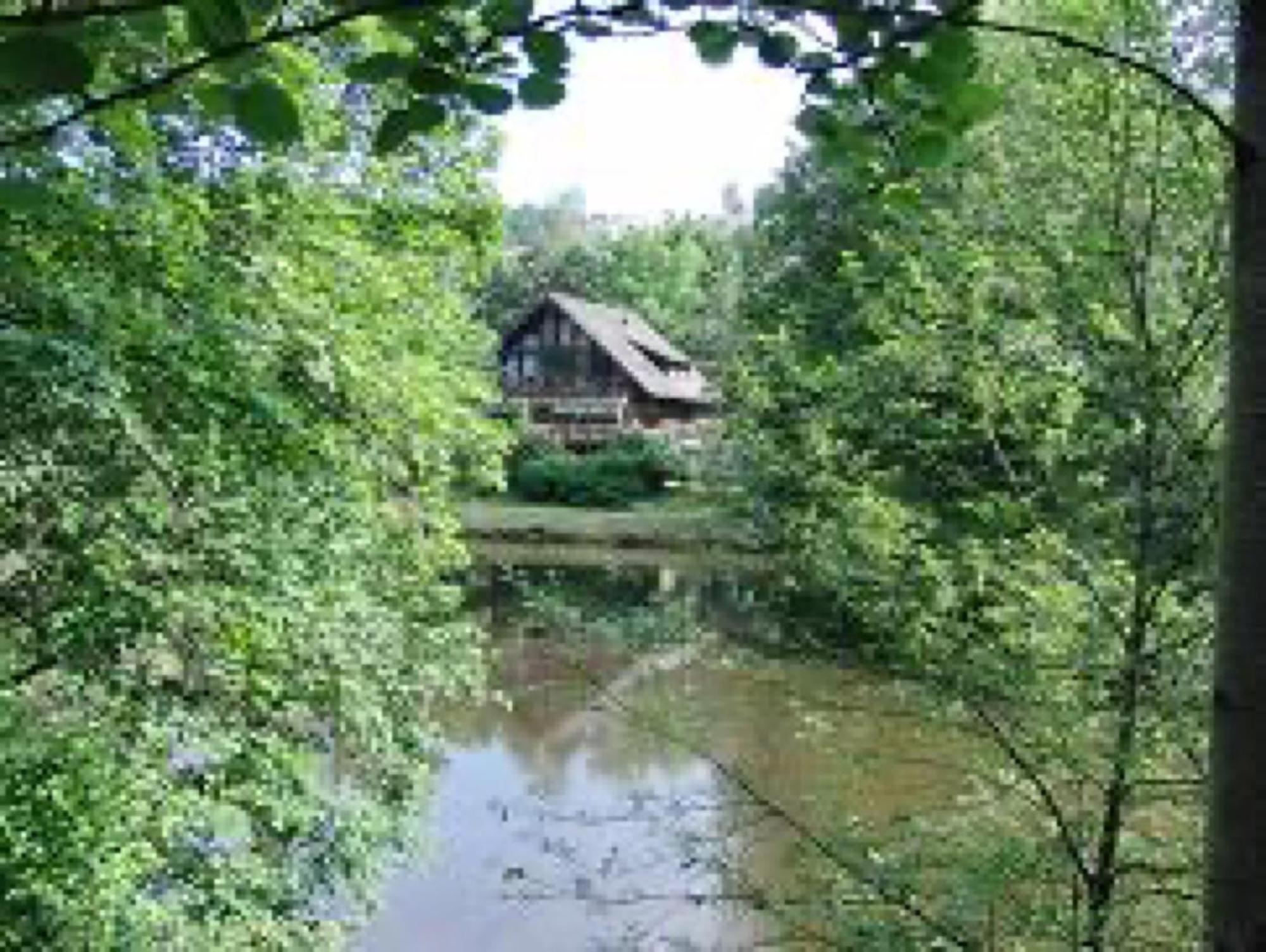 Ferienwohnungen Seeblick Unterkirnach Dış mekan fotoğraf
