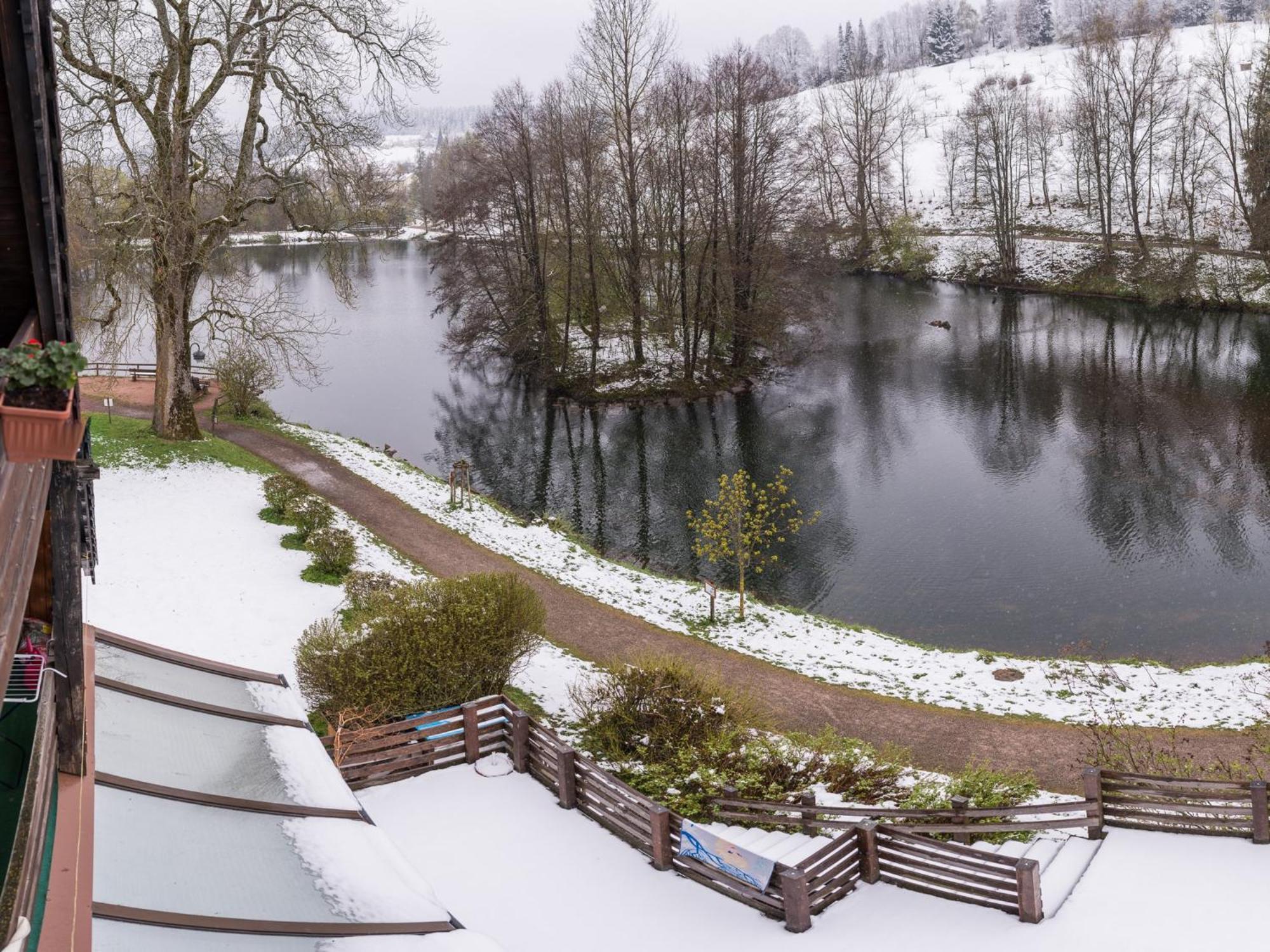 Ferienwohnungen Seeblick Unterkirnach Dış mekan fotoğraf
